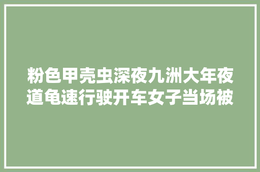 粉色甲壳虫深夜九洲大年夜道龟速行驶开车女子当场被带走