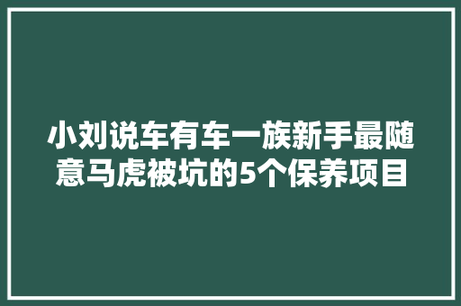 小刘说车有车一族新手最随意马虎被坑的5个保养项目