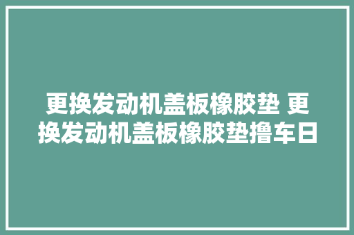 更换发动机盖板橡胶垫 更换发动机盖板橡胶垫撸车日常