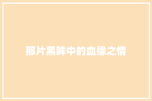 那片黑眸中的血缘之情