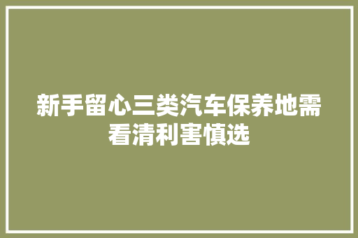 新手留心三类汽车保养地需看清利害慎选