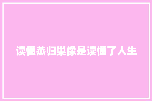 读懂燕归巢像是读懂了人生