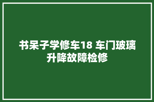 书呆子学修车18 车门玻璃升降故障检修