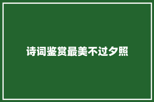 诗词鉴赏最美不过夕照