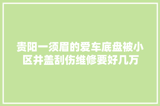 贵阳一须眉的爱车底盘被小区井盖刮伤维修要好几万