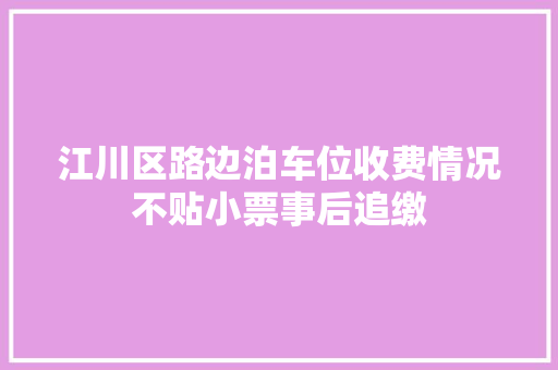 江川区路边泊车位收费情况不贴小票事后追缴