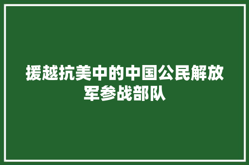 援越抗美中的中国公民解放军参战部队