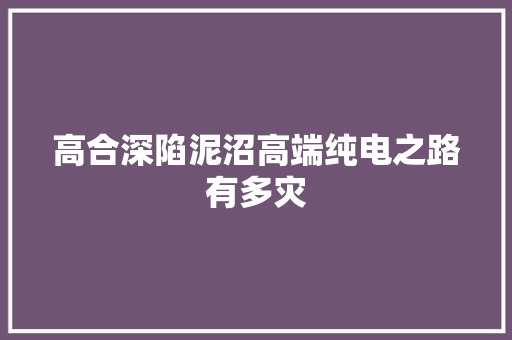 高合深陷泥沼高端纯电之路有多灾