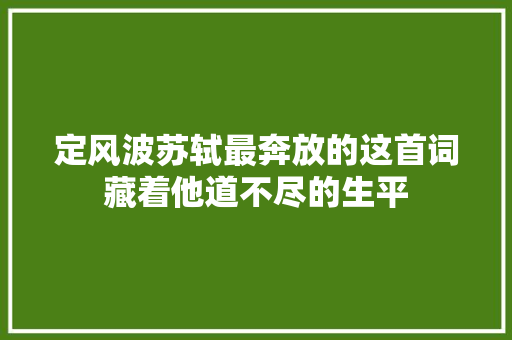定风波苏轼最奔放的这首词藏着他道不尽的生平
