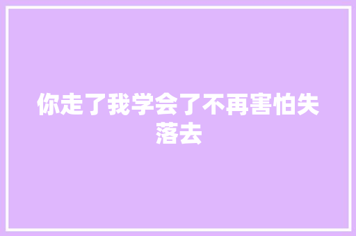 你走了我学会了不再害怕失落去