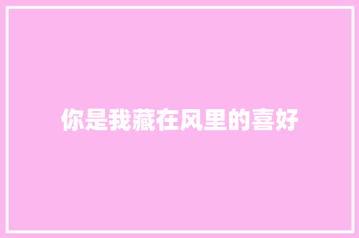你是我藏在风里的喜好