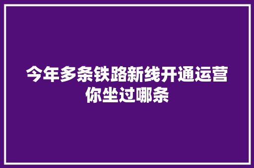 今年多条铁路新线开通运营你坐过哪条