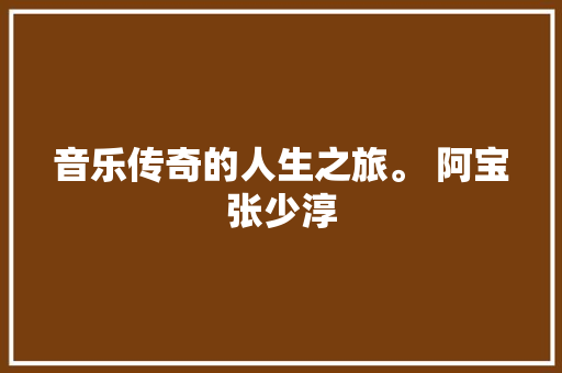 音乐传奇的人生之旅。 阿宝张少淳