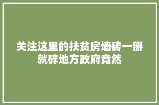 关注这里的扶贫房墙砖一掰就碎地方政府竟然