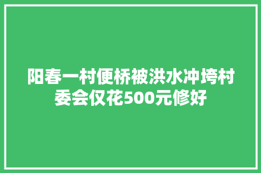 阳春一村便桥被洪水冲垮村委会仅花500元修好