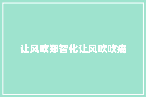 让风吹郑智化让风吹吹痛