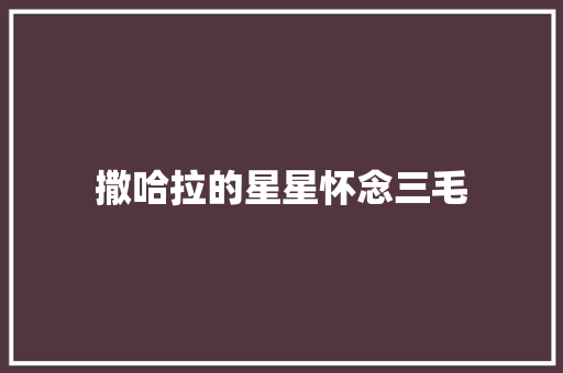 撒哈拉的星星怀念三毛