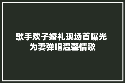 歌手欢子婚礼现场首曝光 为妻弹唱温馨情歌