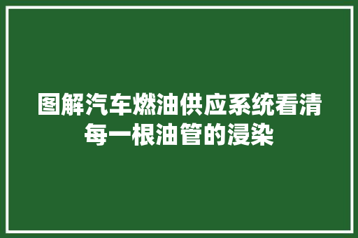 图解汽车燃油供应系统看清每一根油管的浸染