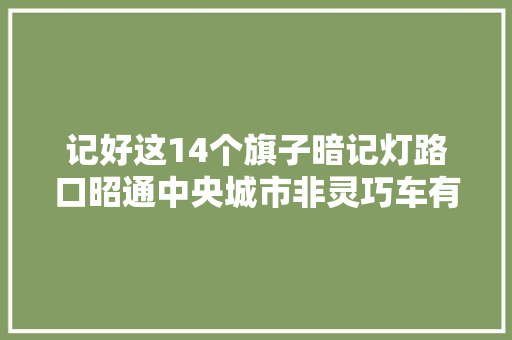 记好这14个旗子暗记灯路口昭通中央城市非灵巧车有了VIP待行区