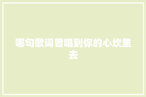 哪句歌词曾唱到你的心坎里去