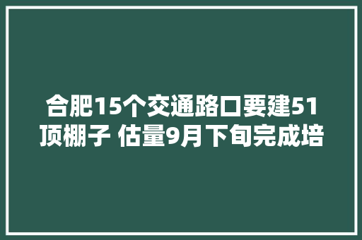 合肥15个交通路口要建51顶棚子 估量9月下旬完成培植