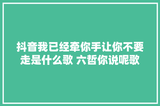 抖音我已经牵你手让你不要走是什么歌 六哲你说呢歌词介绍