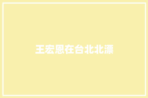 王宏恩在台北北漂