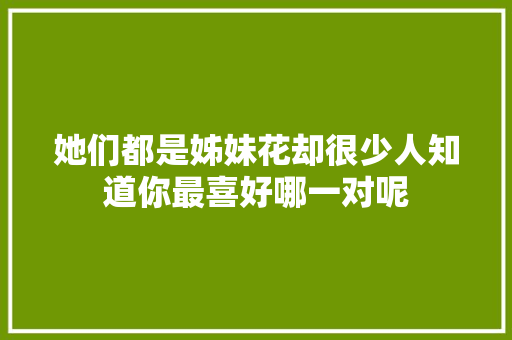 她们都是姊妹花却很少人知道你最喜好哪一对呢