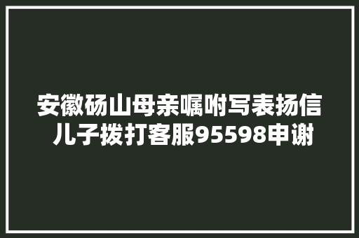 安徽砀山母亲嘱咐写表扬信 儿子拨打客服95598申谢