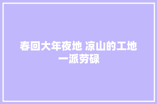 春回大年夜地 凉山的工地一派劳碌