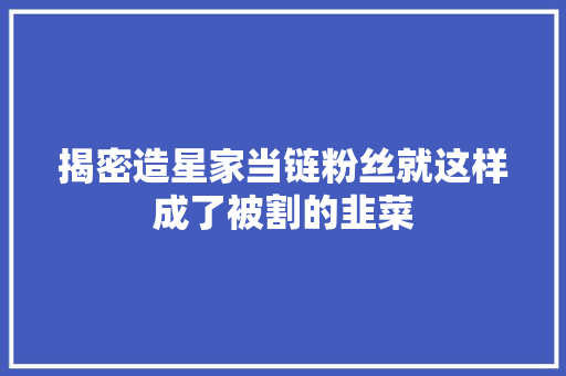 揭密造星家当链粉丝就这样成了被割的韭菜