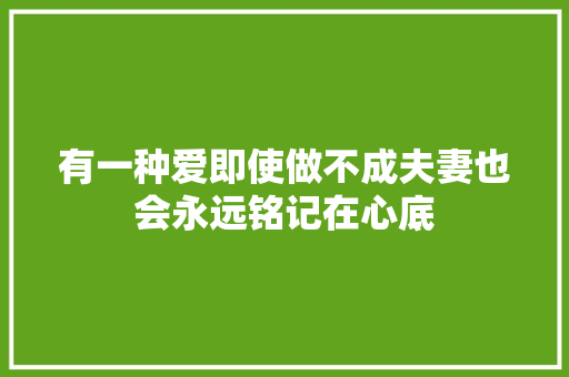 有一种爱即使做不成夫妻也会永远铭记在心底