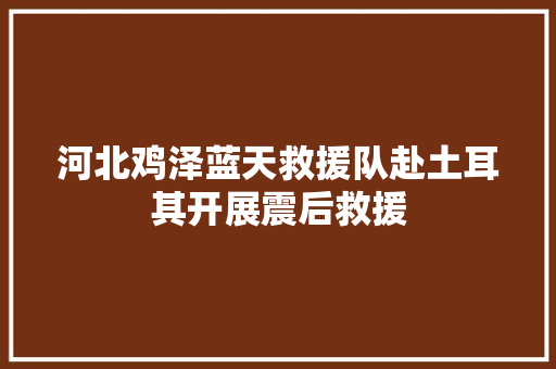 河北鸡泽蓝天救援队赴土耳其开展震后救援