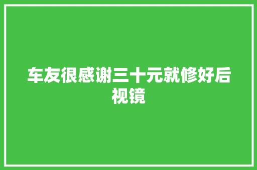 车友很感谢三十元就修好后视镜