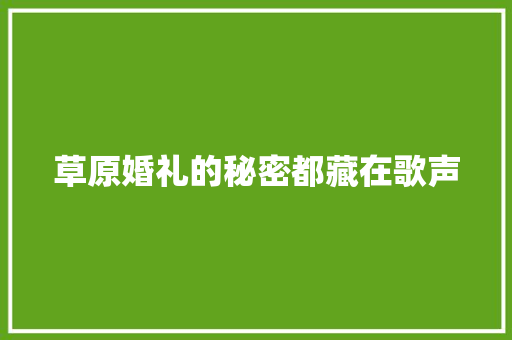 草原婚礼的秘密都藏在歌声
