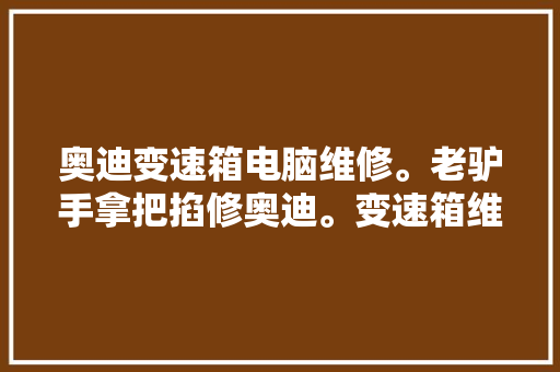 奥迪变速箱电脑维修。老驴手拿把掐修奥迪。变速箱维修