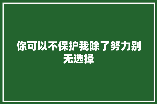 你可以不保护我除了努力别无选择