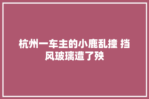 杭州一车主的小鹿乱撞 挡风玻璃遭了殃
