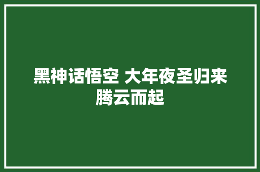 黑神话悟空 大年夜圣归来腾云而起