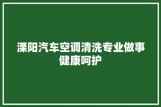 溧阳汽车空调清洗专业做事健康呵护