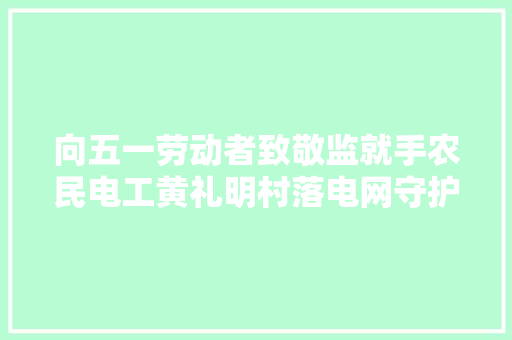 向五一劳动者致敬监就手农民电工黄礼明村落电网守护人