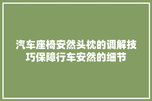 汽车座椅安然头枕的调解技巧保障行车安然的细节