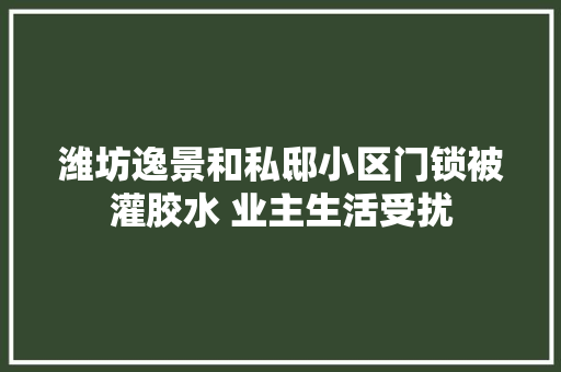 潍坊逸景和私邸小区门锁被灌胶水 业主生活受扰