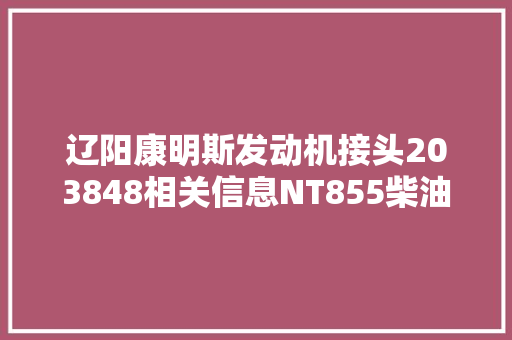辽阳康明斯发动机接头203848相关信息NT855柴油机