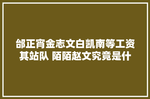 邰正宵金志文白凯南等工资其站队 陌陌赵文究竟是什么来头