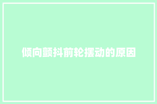 倾向颤抖前轮摆动的原因