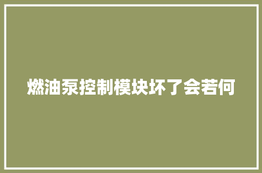 燃油泵控制模块坏了会若何