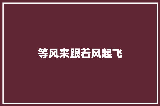 等风来跟着风起飞