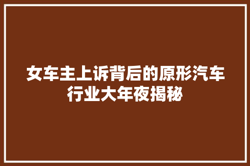 女车主上诉背后的原形汽车行业大年夜揭秘